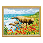 Needlepoint Canvas 