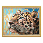 Needlepoint Canvas 