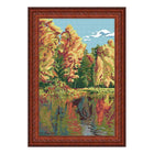 Needlepoint Canvas 