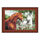 Needlepoint Canvas 
