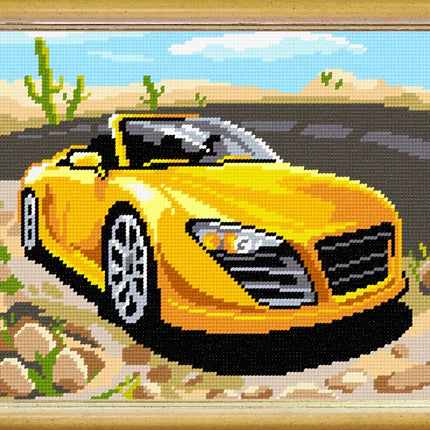 DIY Needlepoint Kit "Texas" 14.2"x18.5"