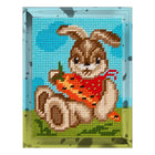 DIY Needlepoint Kit 