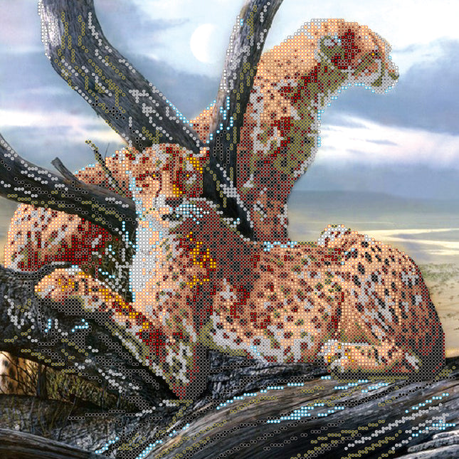 Canvas for bead embroidery "Safari" 11.8"x11.8" / 30.0x30.0 cm