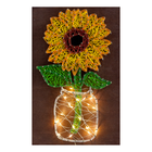 String Art Creative DIY Kit 
