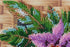 products/ad92fab3c23cdaf684366b66a5eb849d.JPG