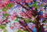 products/b077c6cb654b9ec06a992e80ed429d13.JPG