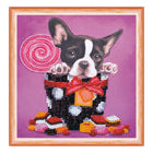 DIY Bead Embroidery Kit 