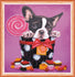 products/b4566bf94b6d65733b07e40eec311bfd.jpg