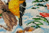 products/b9db643c6bb7e167429d6d4ec961315b.JPG