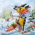 products/c0f3c00614db0e0a921beade28fe0151.png