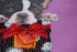 products/c2e68a800c587576018bf9e41c95eaa7.JPG