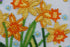 products/c5679c70f36a9a72b8f309b732e2cb97.JPG