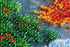 products/c9afc80c3bdd71f014844669402b3dfe.JPG