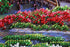 products/cb795430f89df1c44622cffa8fce0d03.JPG