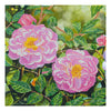 Canvas for bead embroidery "Climbing rose" 11.8"x11.8" / 30.0x30.0 cm