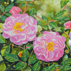 Canvas for bead embroidery "Climbing rose" 11.8"x11.8" / 30.0x30.0 cm