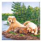 Canvas for bead embroidery 