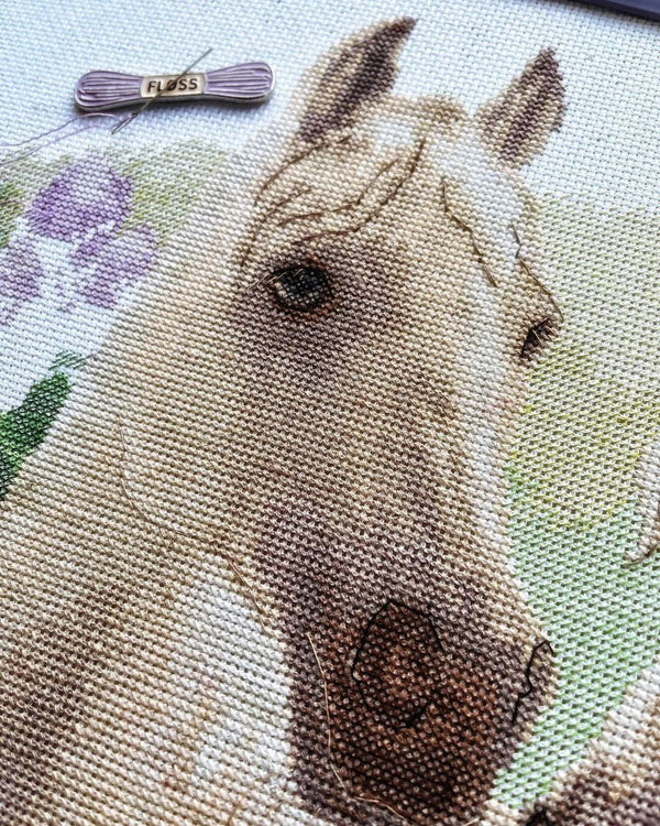 Counted Cross Stitch Kit 
