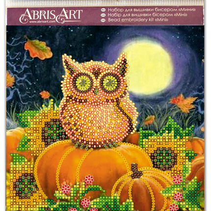 DIY Bead Embroidery Kit "Night guest"  5.9"x5.9" / 15.0x15.0 cm