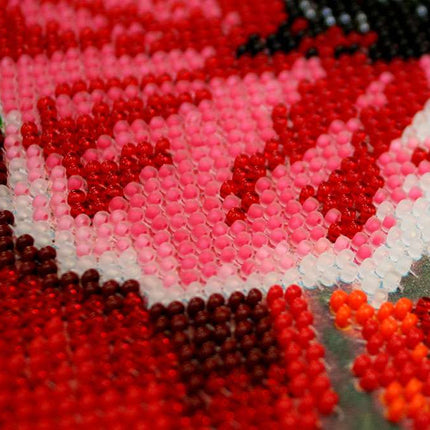 DIY Bead Embroidery Kit "Wild poppies – 1" 9.4"x17.5" / 24.0x44.5 cm