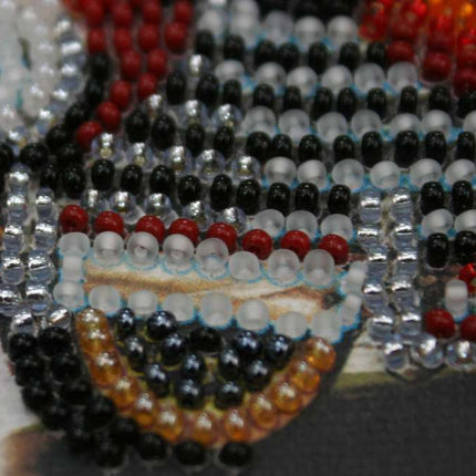 DIY Bead Embroidery Kit "Skoda-1102"  5.9"x5.9" / 15.0x15.0 cm