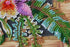 products/e3798e9c939da969067a61e0d400a9ae.JPG