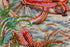 products/e3cf493f2f1d0ecb3828c11648e3e274.JPG