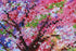 products/eb12fe043e96fd8c64ab0fe7126499c2.JPG