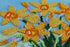 products/ee04a82453136900fcd307ed4aa62494.JPG