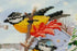 products/ef23e89df3f0a5f5794ac12fc8958b8d.JPG