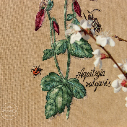 DIY Cross Stitch Kit "Aquilegia" 5.9x11.8 in / 15.0x30.0 cm