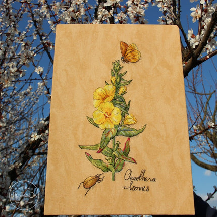 DIY Cross Stitch Kit "Oenothera" 5.9x11.8 in / 15.0x30.0 cm