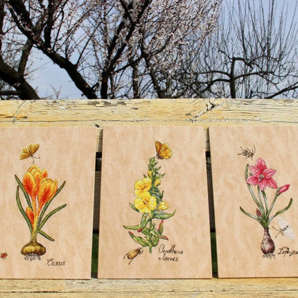 DIY Cross Stitch Kit "Zephyranthes" 5.9x11.0 in / 15.0x28.0 cm