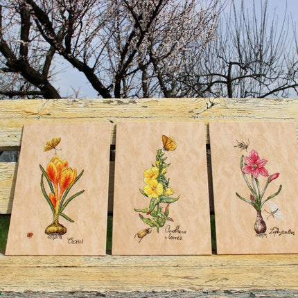 DIY Cross Stitch Kit "Zephyranthes" 5.9x11.0 in / 15.0x28.0 cm