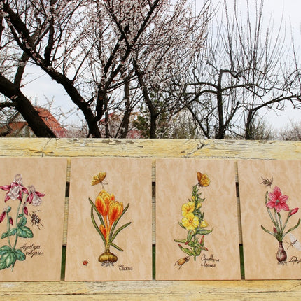 DIY Cross Stitch Kit "Zephyranthes" 5.9x11.0 in / 15.0x28.0 cm