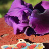 DIY Cross stitch kit on wood "Blooming" 3.9x3.0 in / 10.0x7.5 cm