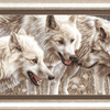 DIY Counted Cross Stitch Kit "White wolves"