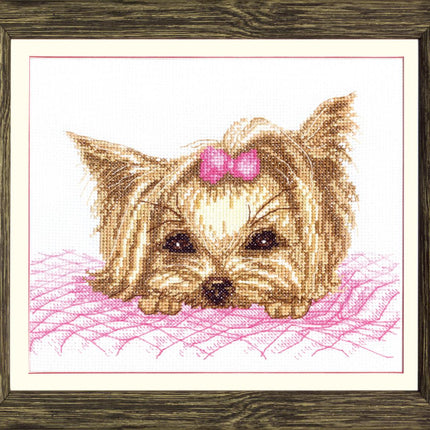 DIY Counted Cross Stitch Kit "Yorkshire terrier"