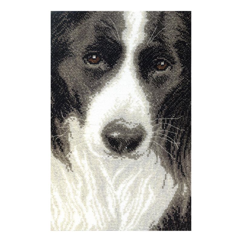 DIY Counted Cross Stitch Kit "Border Collie"