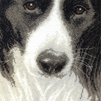 DIY Counted Cross Stitch Kit "Border Collie"