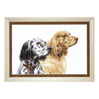 DIY Counted Cross Stitch Kit 