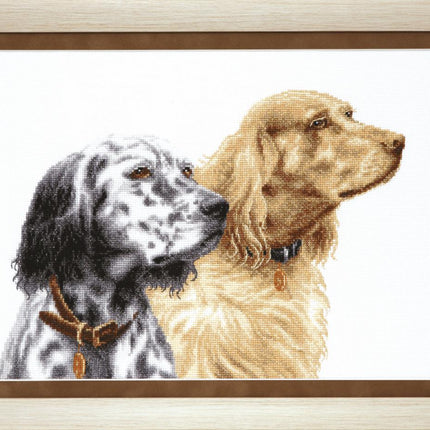 DIY Counted Cross Stitch Kit "Friends medallists"