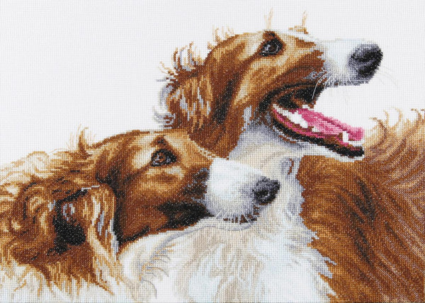 DIY Counted Cross Stitch Kit 