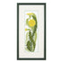 DIY Counted Cross Stitch Kit "Dandelion"