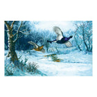 DIY Counted Cross Stitch Kit 