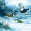 DIY Counted Cross Stitch Kit "Flying over a silvery stream"
