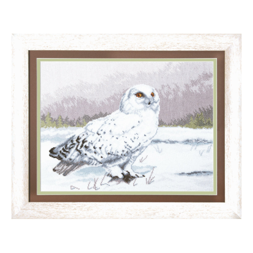 DIY Counted Cross Stitch Kit "Wise owl Buklya"