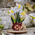 DIY Bead embroidery kit on wood "Daffodils"