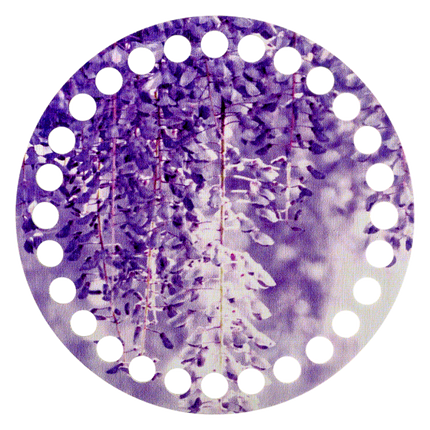 Thread Organizer "Violet blossom"