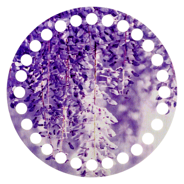 Thread Organizer "Violet blossom"